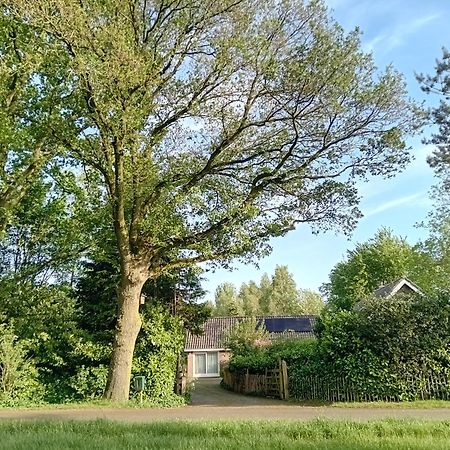 Ruim Huisje Op Een Prachtige Plek Hemrik Exterior photo
